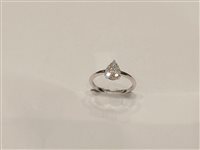Anello Gazzola Gioielli Donna in Oro bianco 0.10 Ct FROF7217-NG - FROF7217-NG